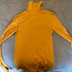 Everlane Pima Micro Rib Turtleneck